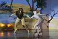 Lionking 0424